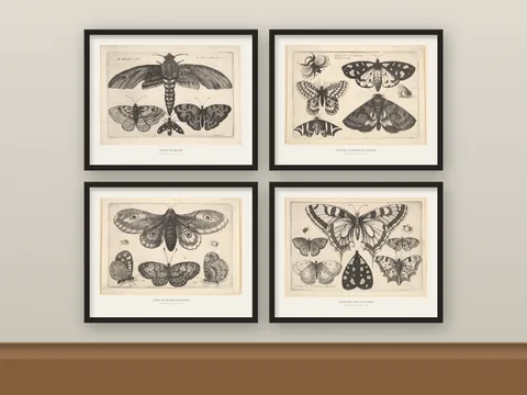 Antique Moth and Butterfly Etchings: preview